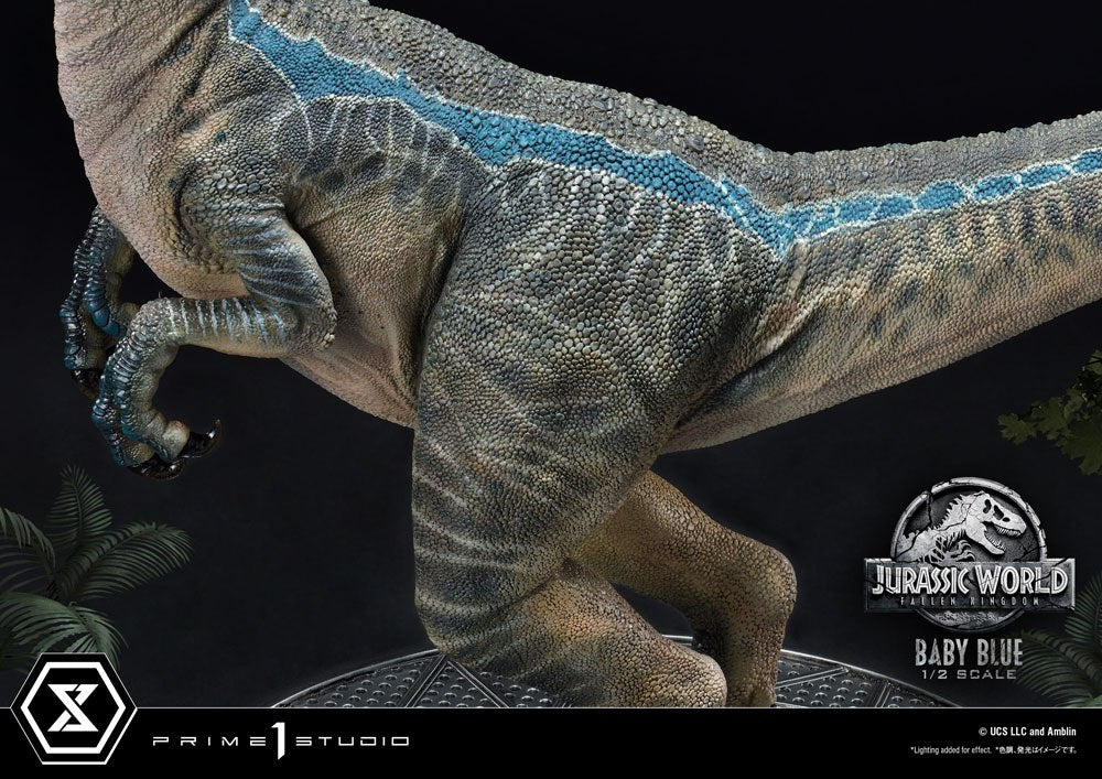 Jurassic World: Fallen Kingdom Prime Collectibles Statue 1/2 Baby Blue 34 cm krop helt tæt på 