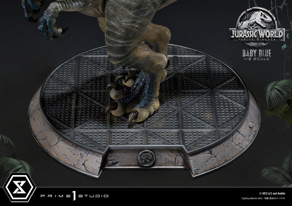Jurassic World: Fallen Kingdom Prime Collectibles Statue 1/2 Baby Blue 34 cm fødder helt tæt på