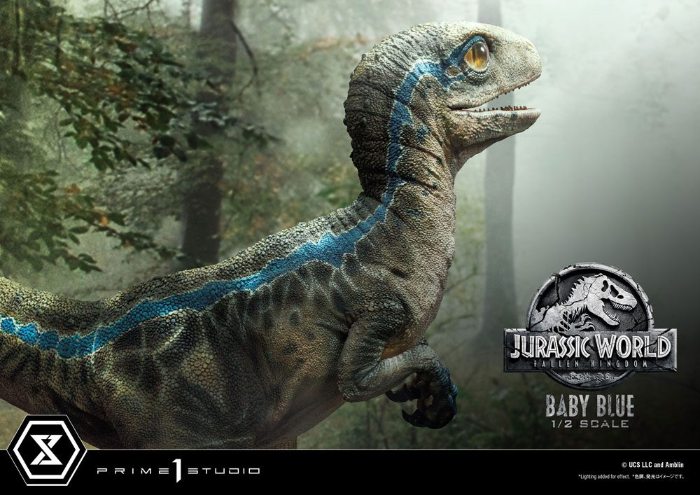 Jurassic World: Fallen Kingdom Prime Collectibles Statue 1/2 Baby Blue 34 cm Set fra højre side 