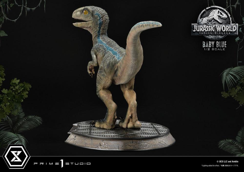 Jurassic World: Fallen Kingdom Prime Collectibles Statue 1/2 Baby Blue 34 cm fuld figur set bagfra