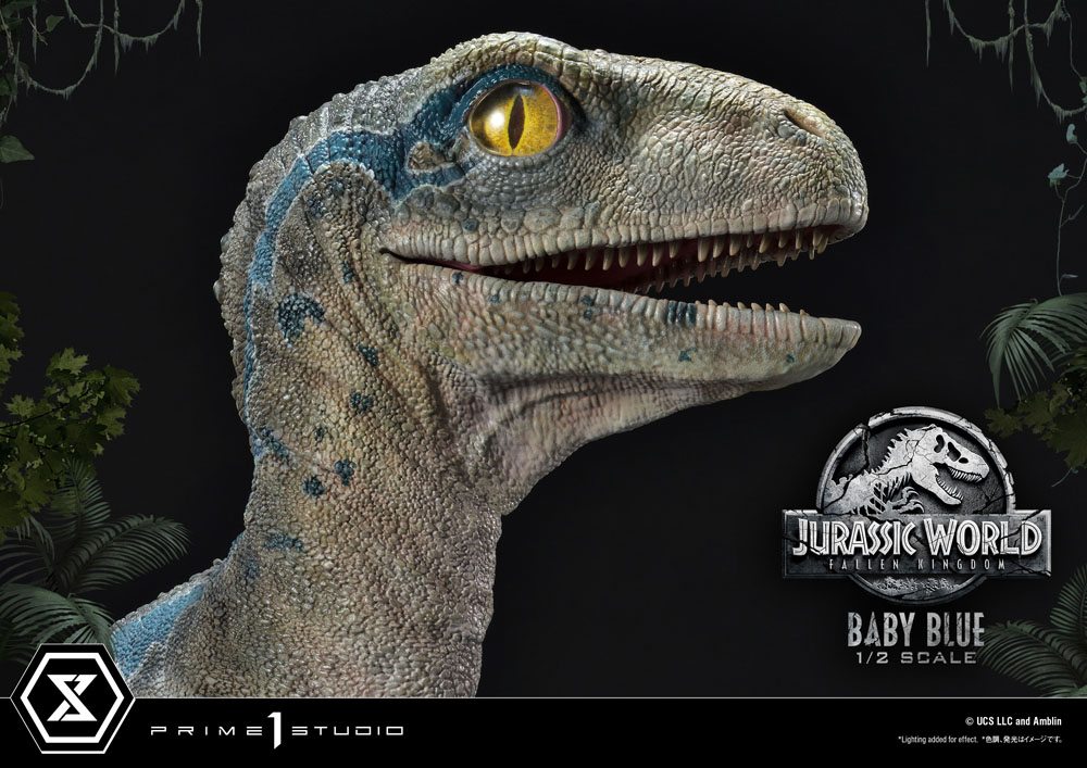 Jurassic World: Fallen Kingdom Prime Collectibles Statue 1/2 Baby Blue 34 cm Hoved helt tæt på fra højre side