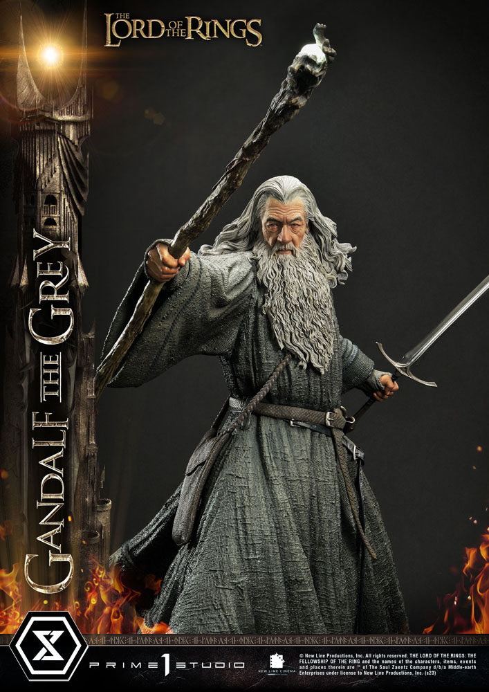 Gandalf | Gandalf the grey, Gandalf, Lord of the rings