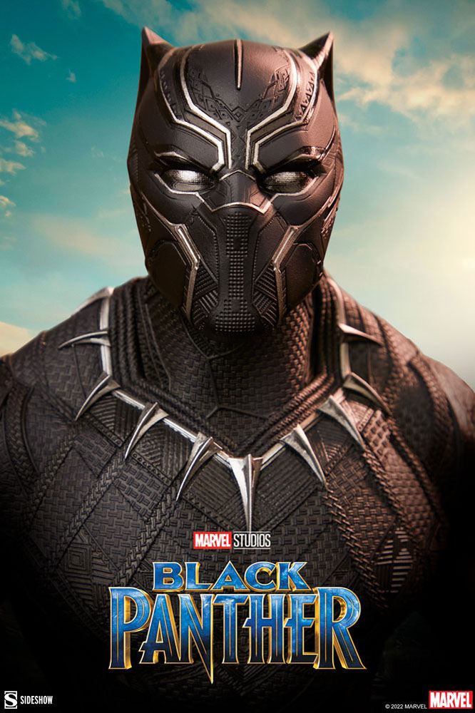 Marvel Cinematic Universe: Black Panther - Group One Sheet Premium